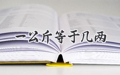 一公斤等于几两