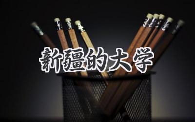新疆的大学