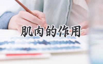 肌肉的作用