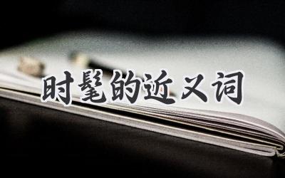 时髦的近义词