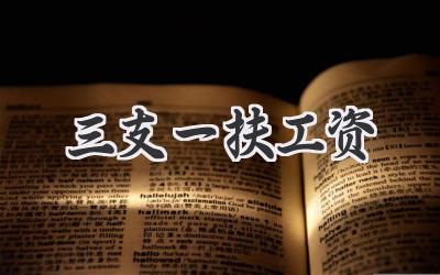 三支一扶工资