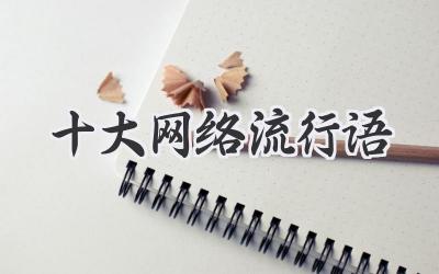 十大网络流行语