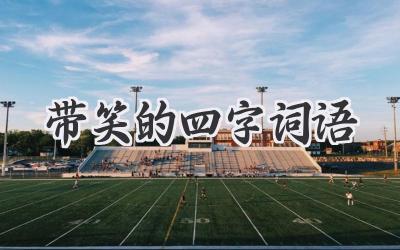 带笑的四字词语
