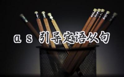 as引导定语从句
