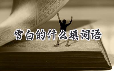 雪白的什么填词语