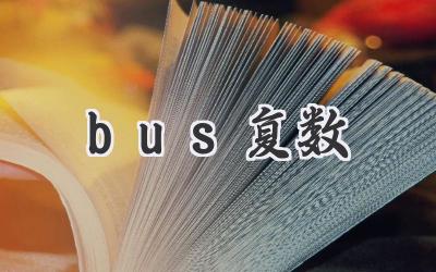 bus复数