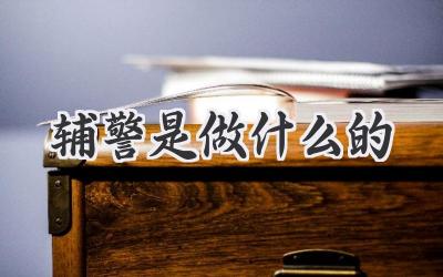 辅警是做什么的