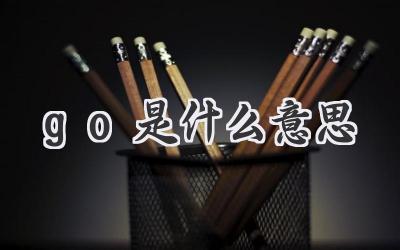 go是什么意思
