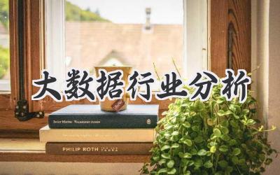 大数据行业分析