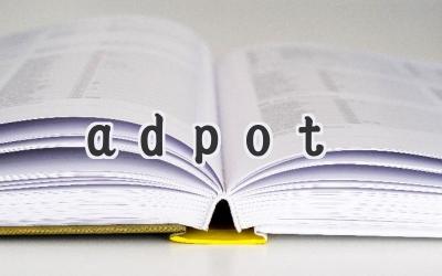 adpot
