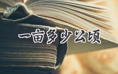 一亩多少公顷