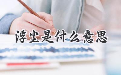 浮尘是什么意思