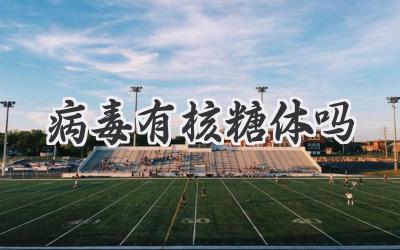 病毒有核糖体吗