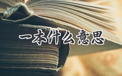一本什么意思