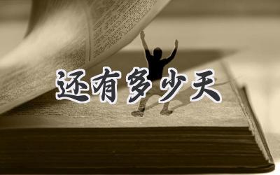 还有多少天