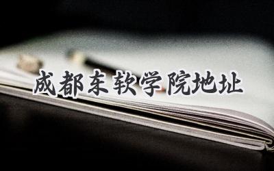 成都东软学院地址