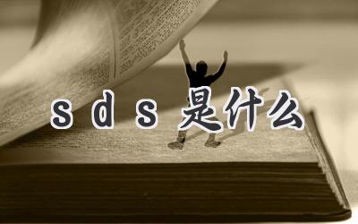 sds是什么