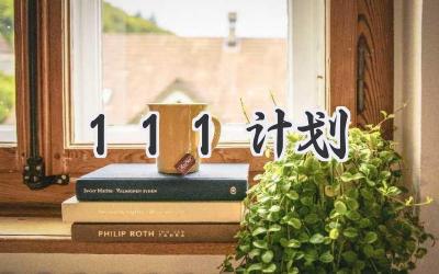 111计划