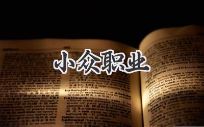 小众职业