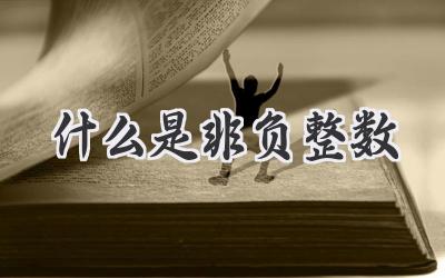 什么是非负整数