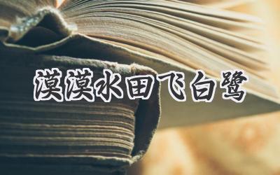 漠漠水田飞白鹭