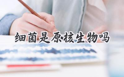 细菌是原核生物吗