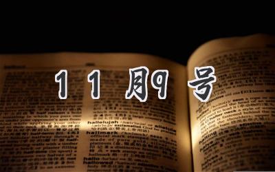 11月9号