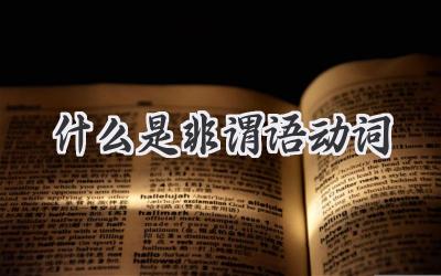 什么是非谓语动词