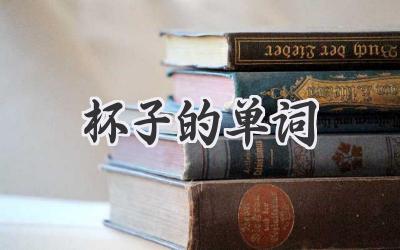 杯子的单词