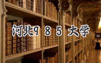 河北985大学