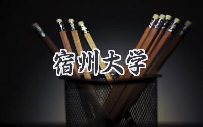宿州大学