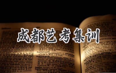 成都艺考集训