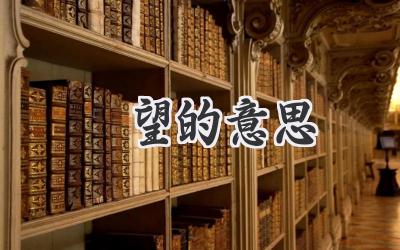 暸望的意思