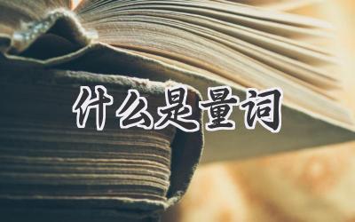 什么是量词