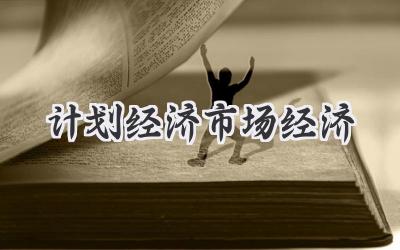 计划经济市场经济