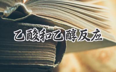 乙酸和乙醇反应