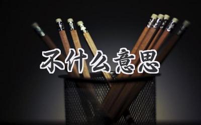 不什么意思