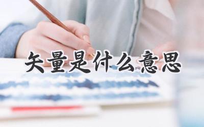 矢量是什么意思