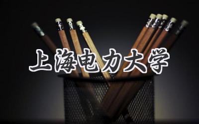 上海电力大学