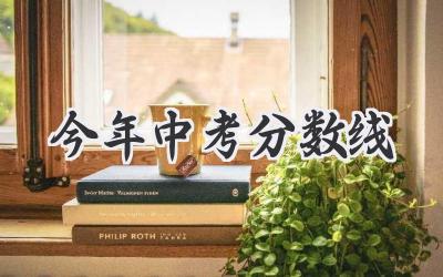 今年中考分数线