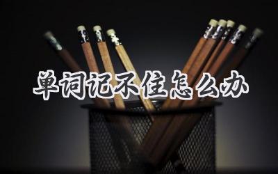 单词记不住怎么办