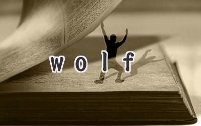 wolf