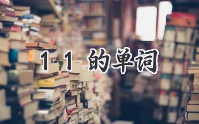 11的单词