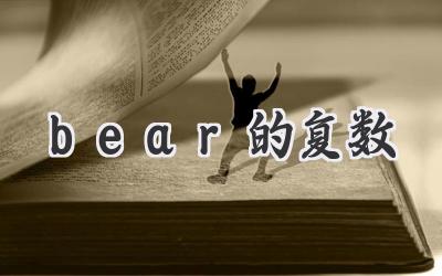 bear的复数