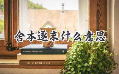 舍本逐末什么意思