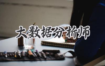 大数据分析师