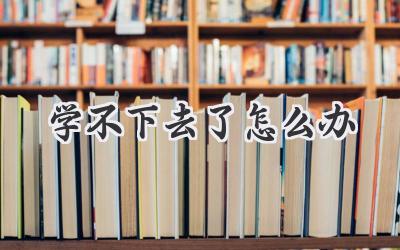 学不下去了怎么办