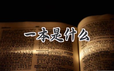 一本是什么