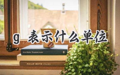 g表示什么单位