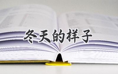 冬天的样子